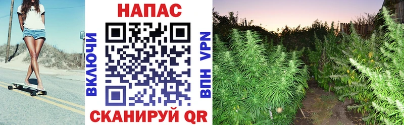 Купить наркоту Солнечногорск COCAIN  ГАШИШ  APVP  Каннабис 